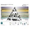 The New Revised Mediterranean Pyramid, 2009-2010