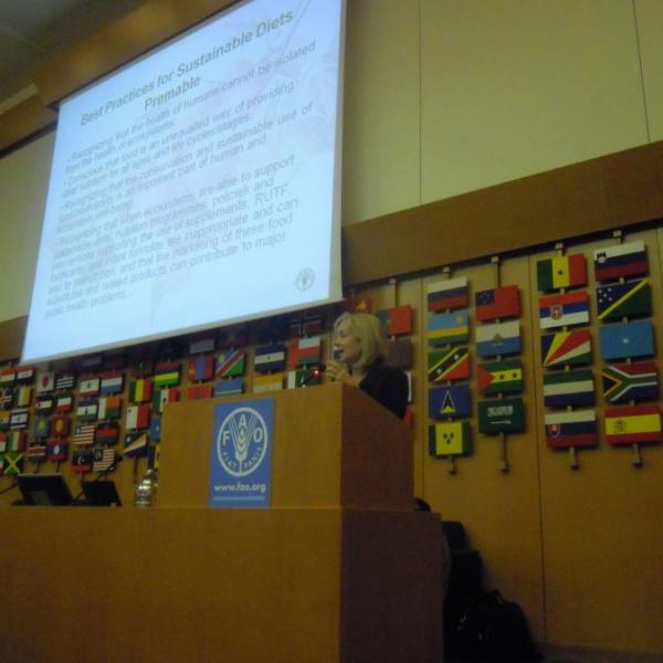 The Sustainability of Food Systems and Diets for Stability, World Food DayWeek International Conference, FAO, Rome, 2011