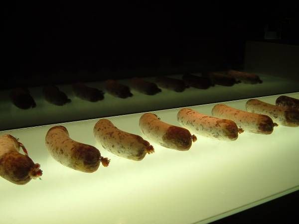 158 alimentaria 06 innoval window sausage