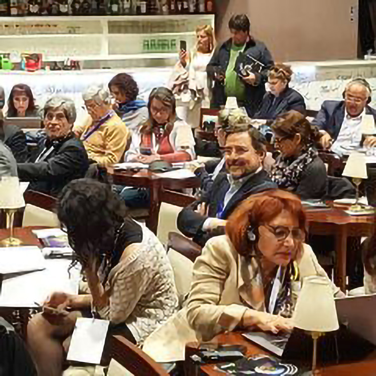 2019 pubblico 240