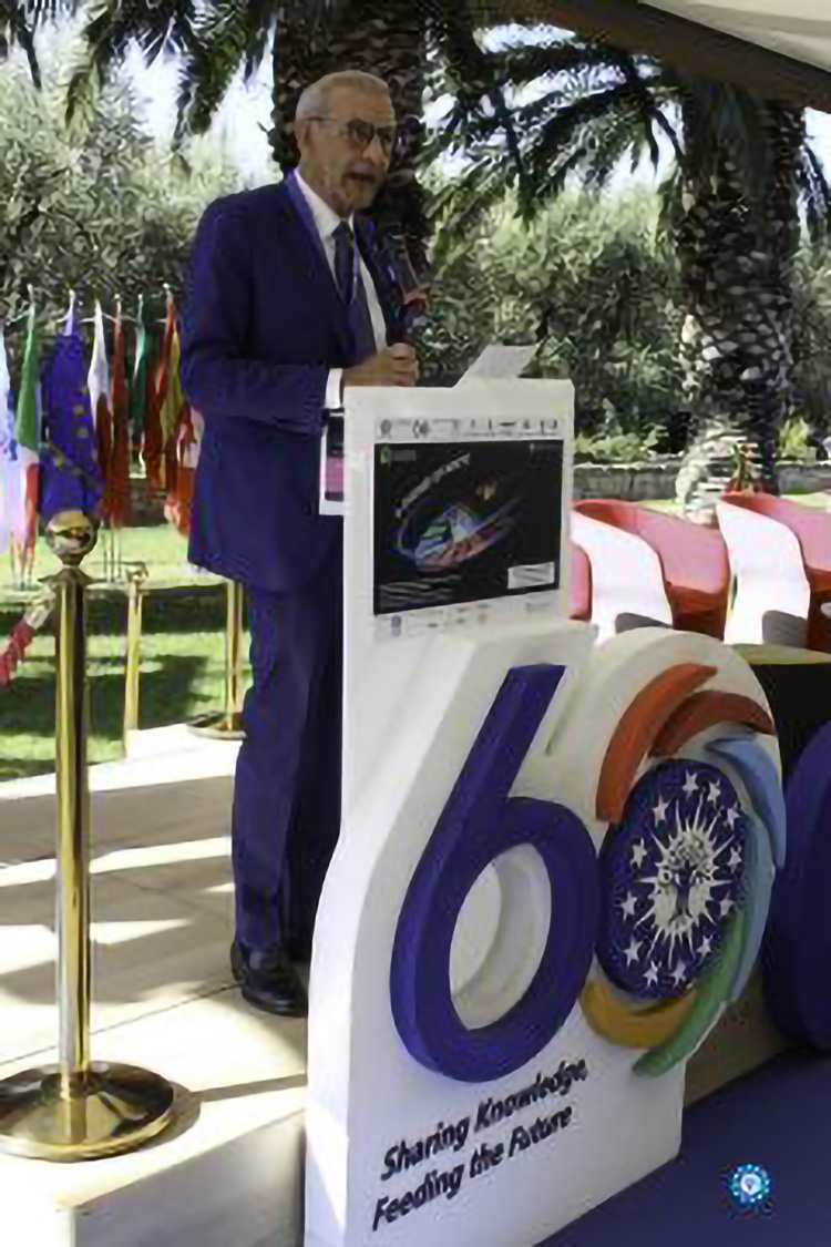 2022 raelii 240